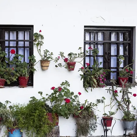 Olerki By Smiling Rentals Hondarribia Exterior photo
