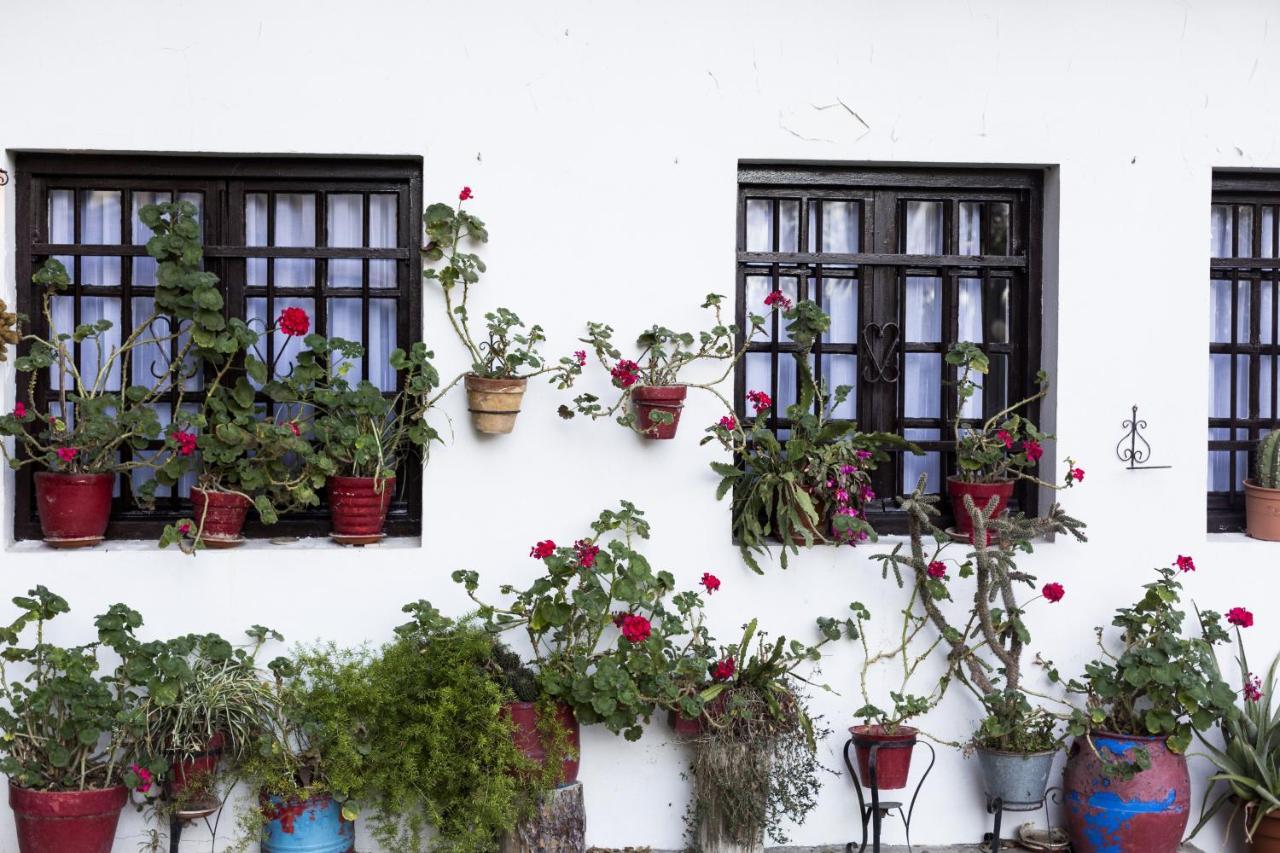 Olerki By Smiling Apartment Hondarribia